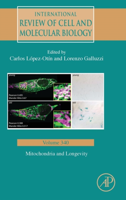 Mitochondria and Longevity : Volume 340, Hardback Book