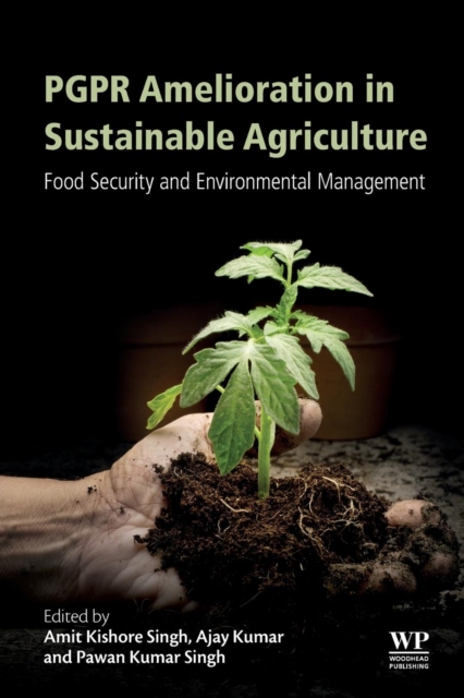 PGPR Amelioration in Sustainable Agriculture : Food Security and Environmental Management, Paperback / softback Book