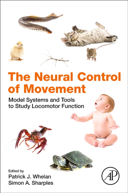The Neural Control of Movement : Model Systems and Tools to Study Locomotor Function, Paperback / softback Book