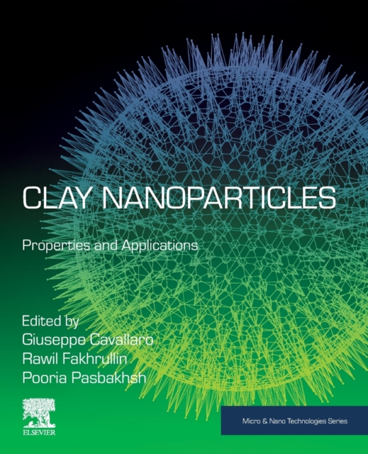 Clay Nanoparticles : Properties and Applications, Paperback / softback Book