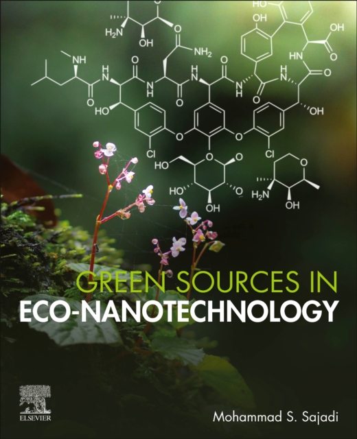 Green Sources in Eco-nanotechnology, Paperback / softback Book