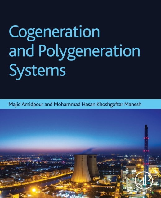 Cogeneration and Polygeneration Systems, Paperback / softback Book