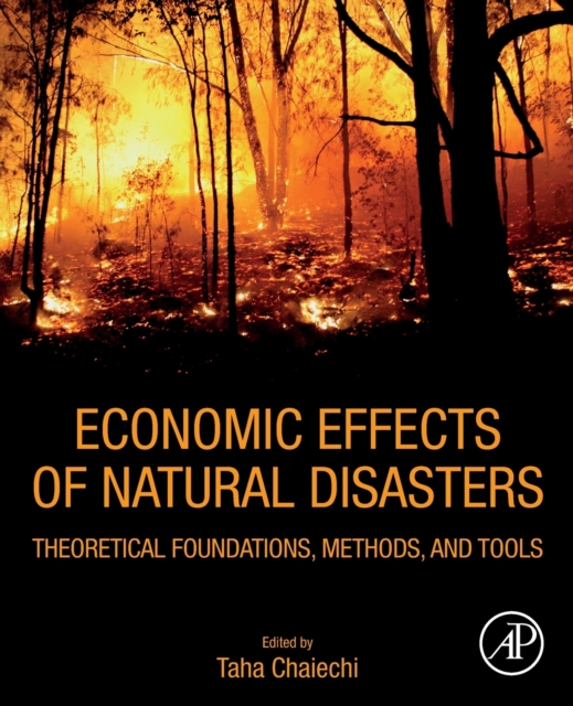 Economic Effects of Natural Disasters : Theoretical Foundations, Methods, and Tools, Paperback / softback Book