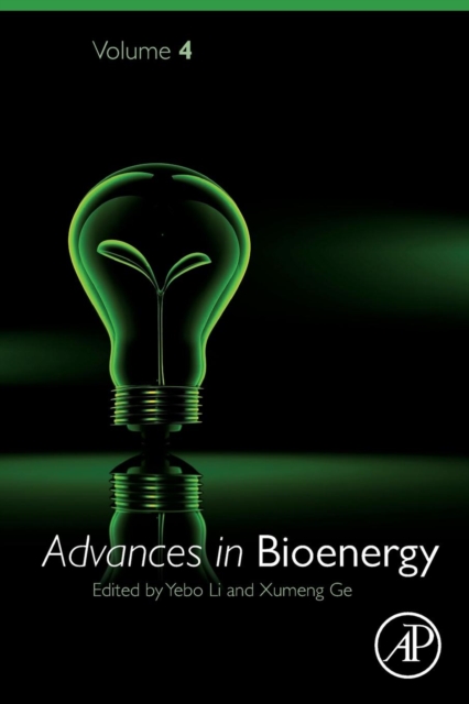 Advances in Bioenergy : Volume 4, Paperback / softback Book