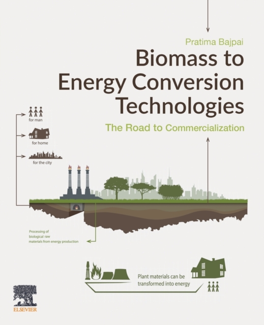 Biomass to Energy Conversion Technologies : The Road to Commercialization, Paperback / softback Book