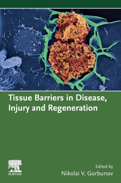 Tissue Barriers in Disease, Injury and Regeneration, Paperback / softback Book