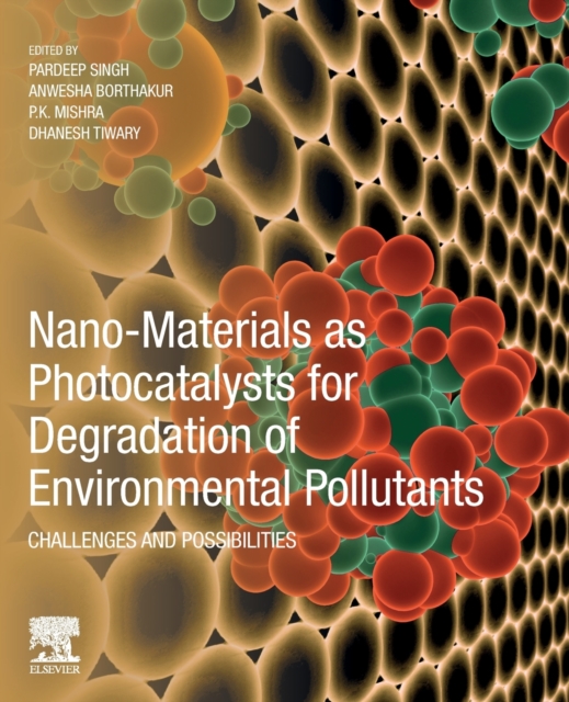 Nano-Materials as Photocatalysts for Degradation of Environmental Pollutants : Challenges and Possibilities, Paperback / softback Book
