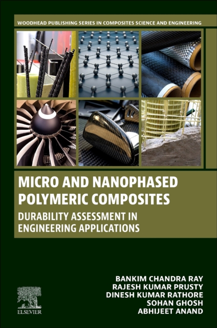Micro and Nanophased Polymeric Composites : Durability Assessment in Engineering Applications, Paperback / softback Book