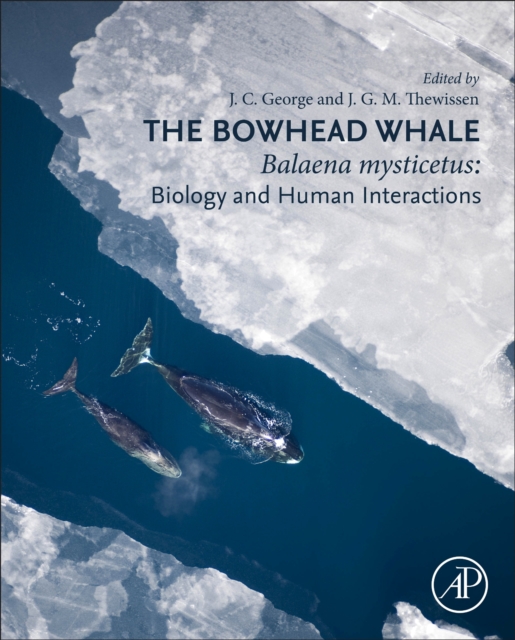 The Bowhead Whale : Balaena Mysticetus: Biology and Human Interactions, Hardback Book