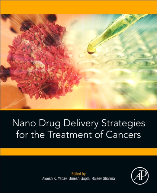 Nano Drug Delivery Strategies for the Treatment of Cancers, Paperback / softback Book