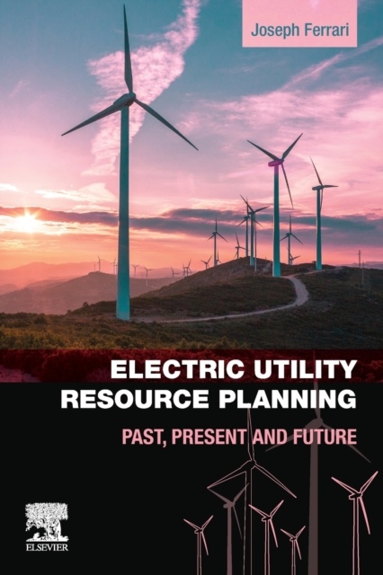 Electric Utility Resource Planning : Past, Present and Future, Paperback / softback Book