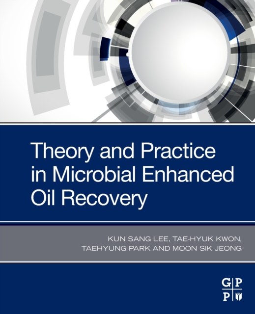 Theory and Practice in Microbial Enhanced Oil Recovery, Paperback / softback Book