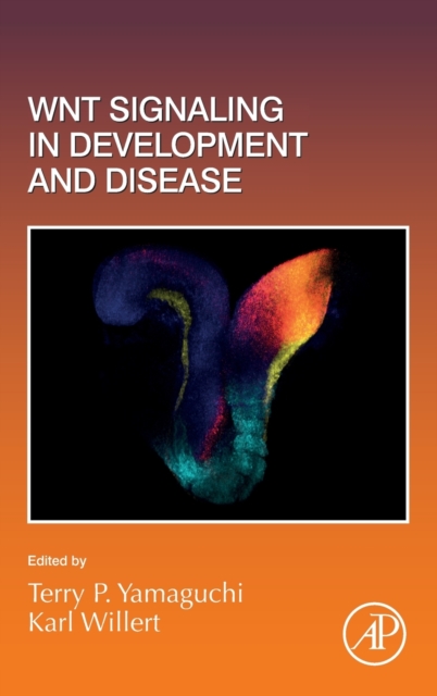 Wnt Signaling in Development and Disease : Volume 153, Hardback Book