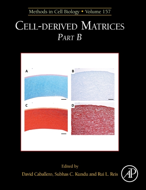Cell-Derived Matrices Part B : Volume 157, Hardback Book
