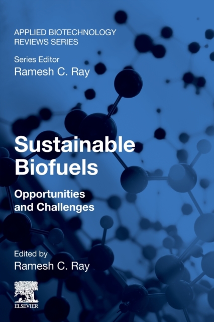 Sustainable Biofuels : Opportunities and Challenges, Paperback / softback Book