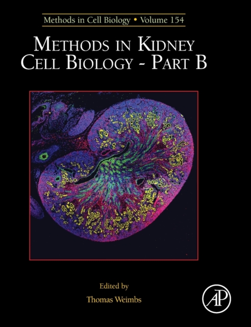 Methods in Kidney Cell Biology Part B : Volume 154, Hardback Book