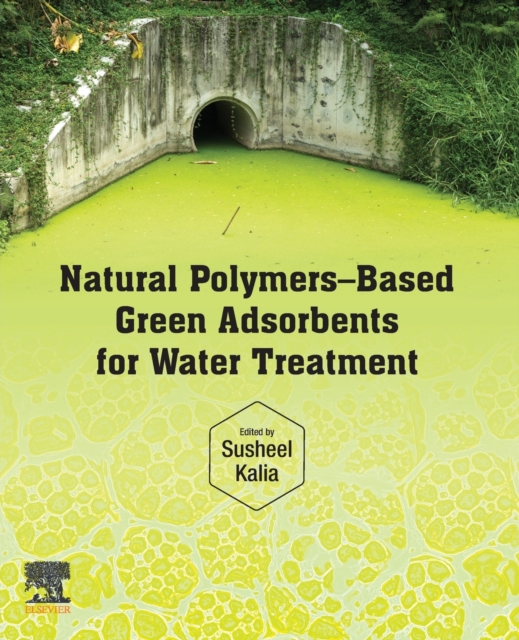 Natural Polymers-Based Green Adsorbents for Water Treatment, Paperback / softback Book