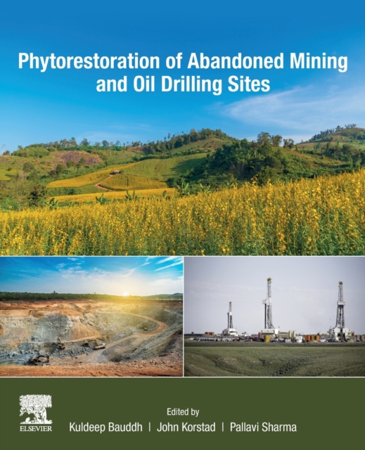 Phytorestoration of Abandoned Mining and Oil Drilling Sites, Paperback / softback Book