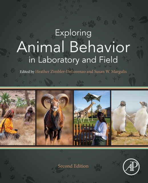 Exploring Animal Behavior in Laboratory and Field, Paperback / softback Book