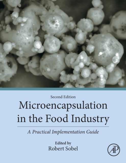 Microencapsulation in the Food Industry : A Practical Implementation Guide, Paperback / softback Book