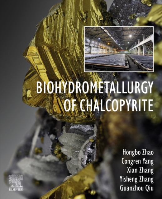 Biohydrometallurgy of Chalcopyrite, EPUB eBook