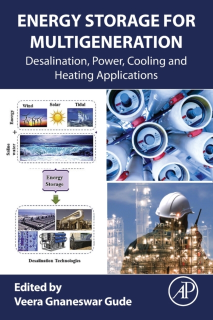 Energy Storage for Multigeneration : Desalination, Power, Cooling and Heating Applications, Paperback / softback Book