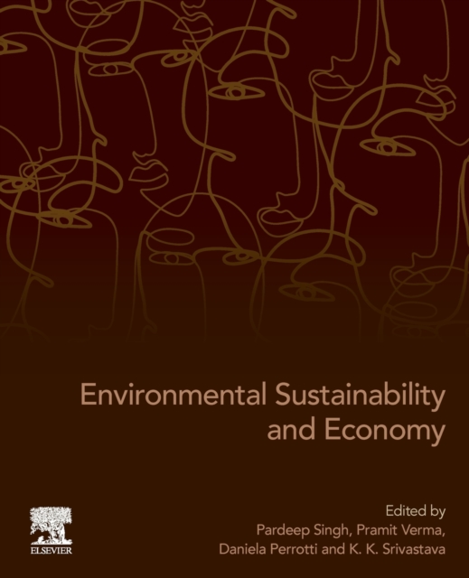 Environmental Sustainability and Economy, Paperback / softback Book