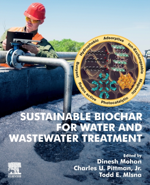 Sustainable Biochar for Water and Wastewater Treatment, Paperback / softback Book