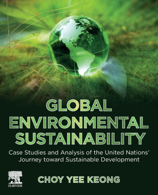 Global Environmental Sustainability : Case Studies and Analysis of the United Nations’ Journey toward Sustainable Development, Paperback / softback Book