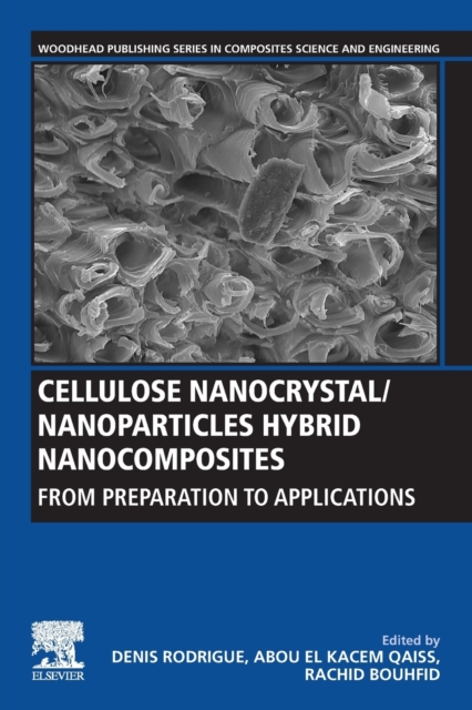 Cellulose Nanocrystal/Nanoparticles Hybrid Nanocomposites : From Preparation to Applications, Paperback / softback Book
