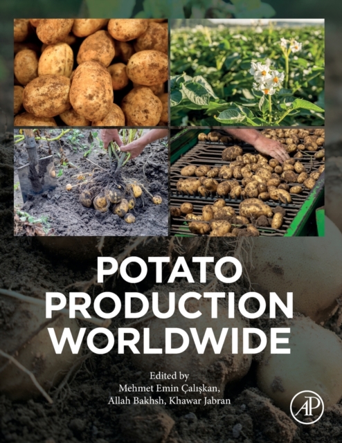 Potato Production Worldwide, Paperback / softback Book