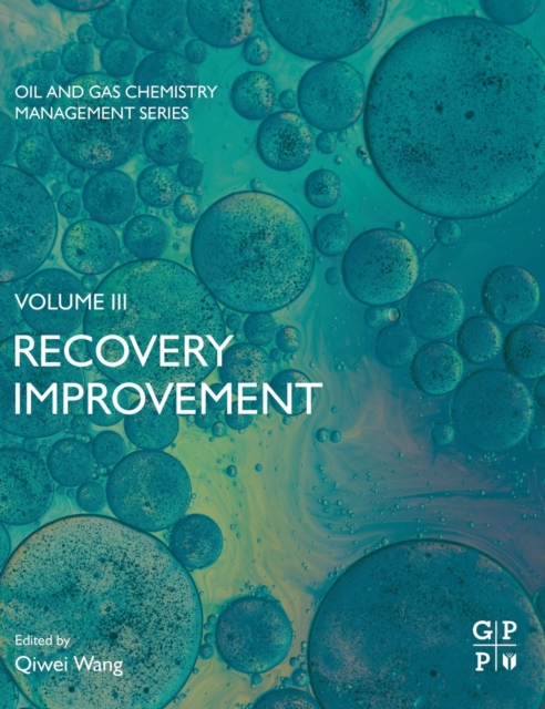 Recovery Improvement, Paperback / softback Book