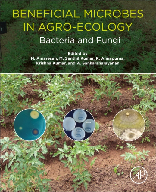 Beneficial Microbes in Agro-Ecology : Bacteria and Fungi, Paperback / softback Book