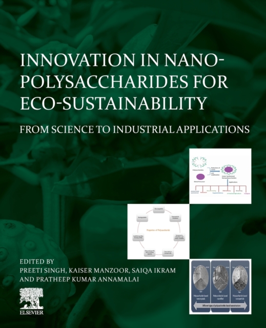 Innovation in Nano-polysaccharides for Eco-sustainability : From Science to Industrial Applications, Paperback / softback Book