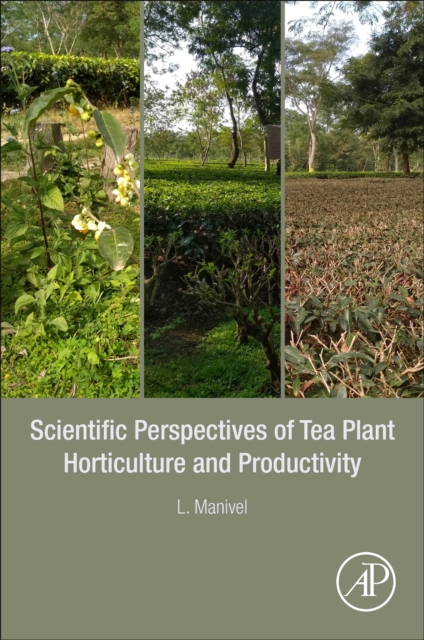 Scientific Perspectives of Tea Plant Horticulture and Productivity, Paperback / softback Book