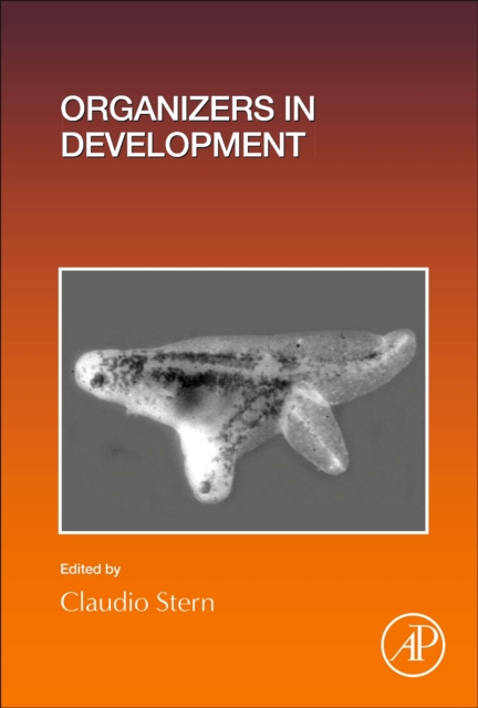 Organizers in Development : Volume 157, Hardback Book