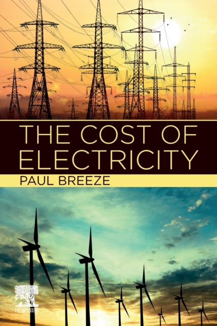 The Cost of Electricity, Paperback / softback Book