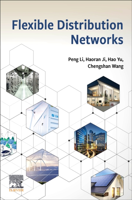 Flexible Distribution Networks, Paperback / softback Book