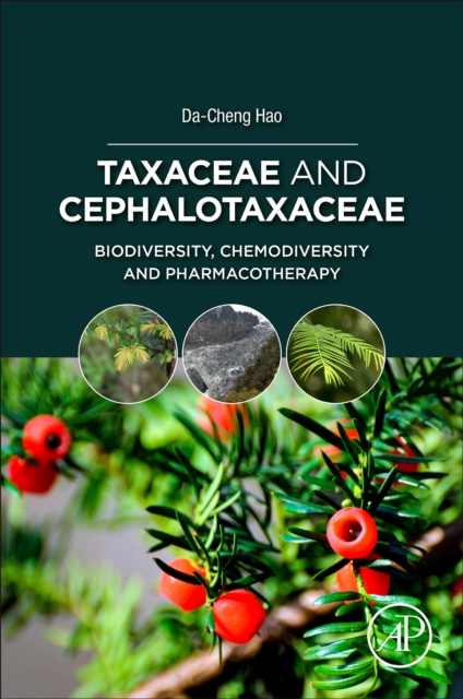 Taxaceae and Cephalotaxaceae : Biodiversity, Chemodiversity, and Pharmacotherapy, Paperback / softback Book