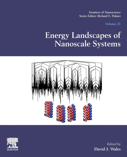 Energy Landscapes of Nanoscale Systems : Volume 21, Paperback / softback Book