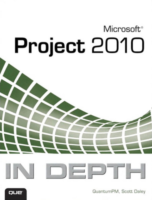 Microsoft Project 2010 In Depth, EPUB eBook