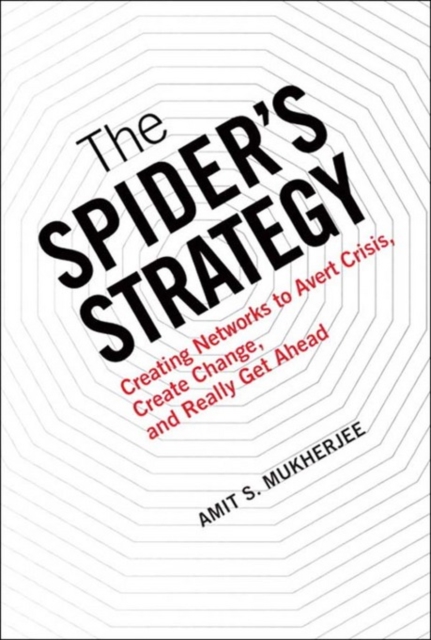 Spider's Strategy, The : Creating Networks to Avert Crisis, Create Change, and Really Get Ahead, EPUB eBook
