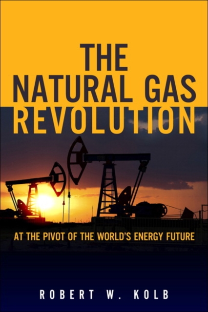 The Natural Gas Revolution : At the Pivot of the World's Energy Future, Hardback Book