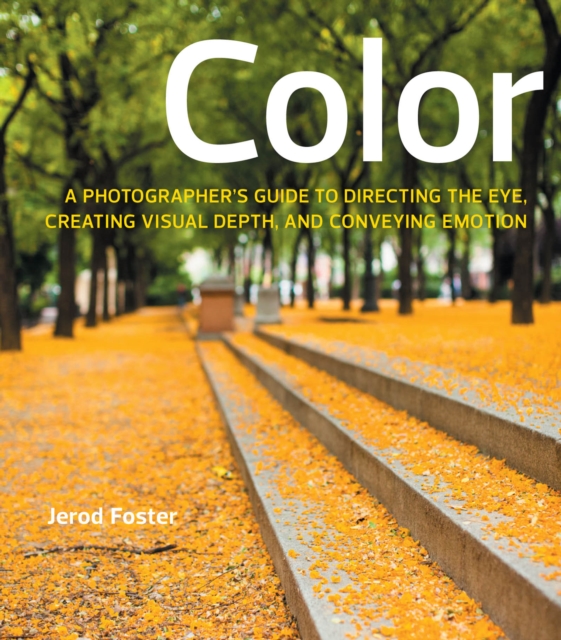 Color : A Photographer's Guide to Directing the Eye, Creating Visual Depth, and Conveying Emotion, PDF eBook