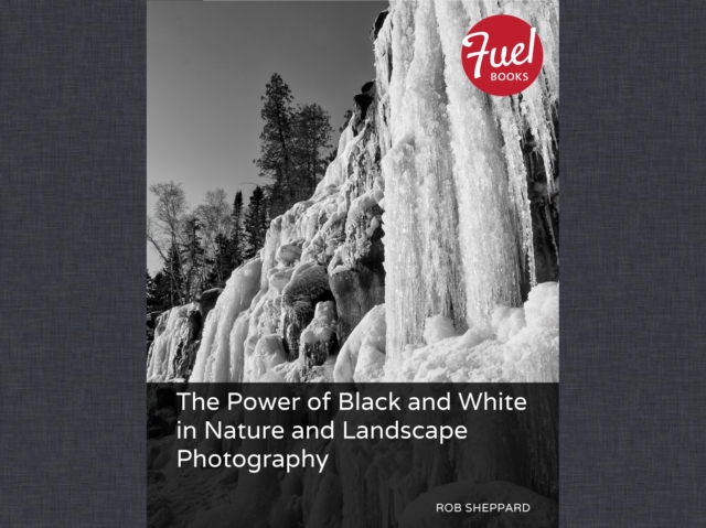 Power of Black and White in Nature and Landscape Photography, The, EPUB eBook
