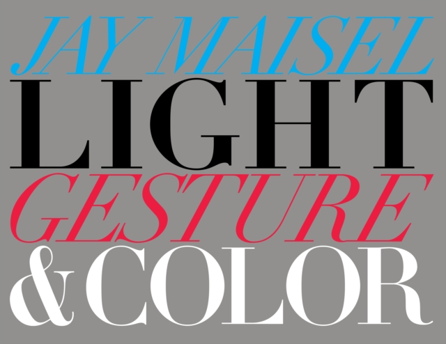 Light, Gesture, and Color, EPUB eBook