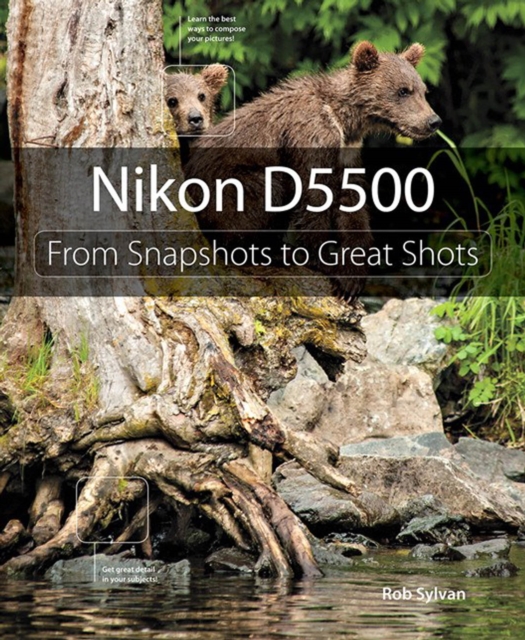 Nikon D5500 : From Snapshots to Great Shots, PDF eBook
