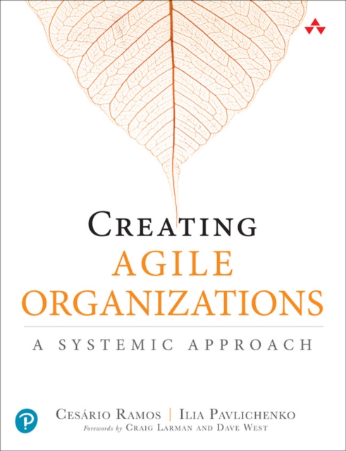 Creating Agile Organizations : A Systemic Approach, Paperback / softback Book