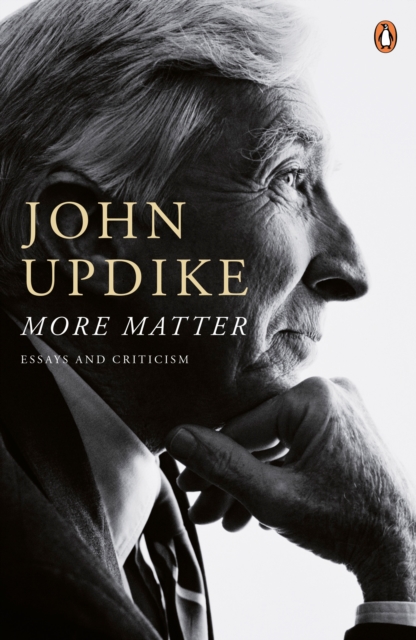 More Matter : Essays And Criticism, Paperback / softback Book