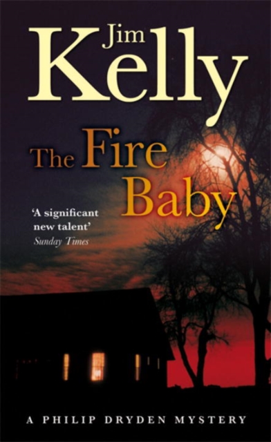 The Fire Baby, Paperback / softback Book